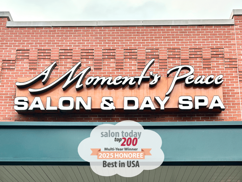 A Moment's Peace Named Salon Today Top 200